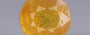 Yellow Sapphire - 6.15 Carats