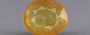 Yellow Sapphire - 7.64 Carats