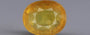 Yellow Sapphire - 9.60 Carats