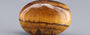 Tiger's Eye - 11.79 Carat Prime Quality TE-15076