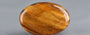 Tiger's Eye - TE 15016 Prime - Quality  17.39 Carat