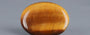 Tiger's Eye - TE 15019 Prime - Quality  20.23 Carat
