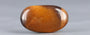 Tiger's Eye - TE 15042 Prime - Quality  4.91 Carat