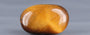 Tiger's Eye - TE 15049 Prime - Quality  5.86 Carat