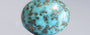 Turquoise - TQS 13543 Prime - Quality