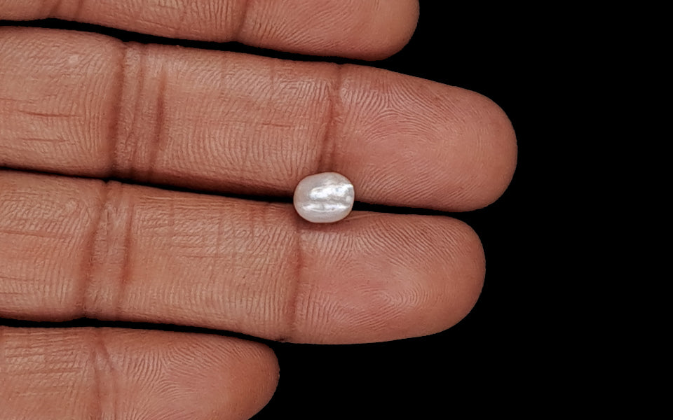 Venezuela Pearl - 1.73 Carat Limited Quality SSP-8951