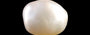 Venezuela Pearl - 13.06 Carat Limited Quality SSP-9050
