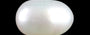 Venezuela Pearl - 2.00 Carat Limited Quality SSP-8970