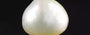 Venezuela Pearl - 3.13 Carat Limited Quality SSP-8778