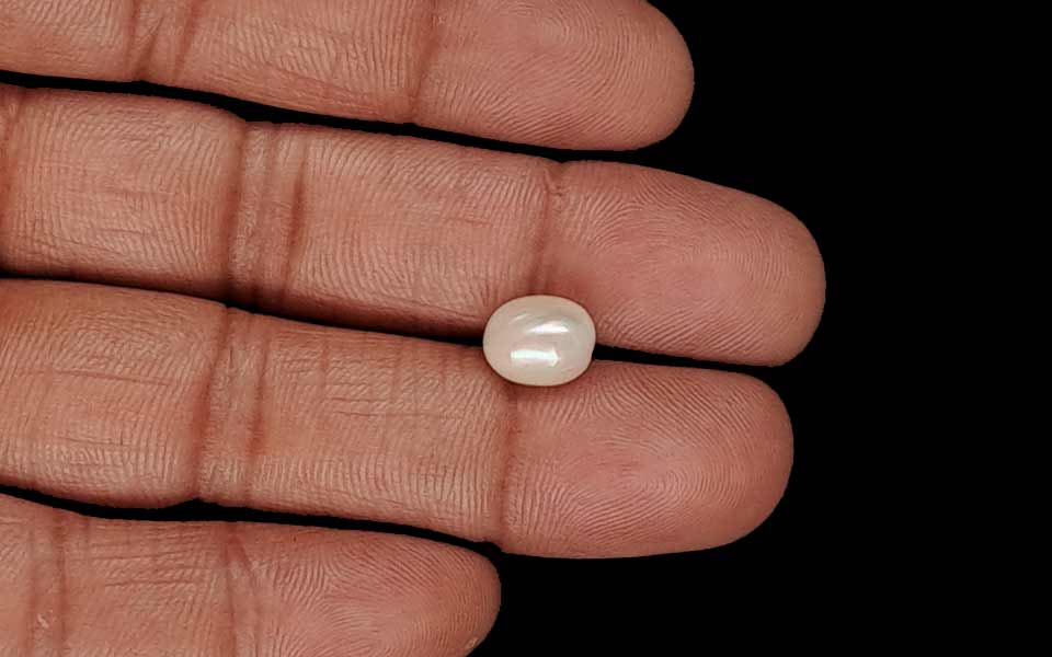 Venezuela Pearl - 3.20 Carat Limited Quality SSP-9027