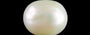 Venezuela Pearl - 3.20 Carat Limited Quality SSP-9027