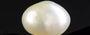 Venezuela Pearl - 3.82 Carat Limited Quality SSP-8771