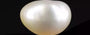 Venezuela Pearl - 4.50 Carat Limited Quality SSP-8772