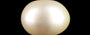 Venezuela Pearl - 6.53 Carat Limited Quality SSP-8987