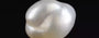 Venezuela Pearl - 7.48 Carat Limited Quality  SSP-8794