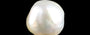 Venezuela Pearl - 7.84 Carat Limited Quality SSP-9049
