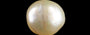 Venezuela Pearl - 8.32 Carat Limited Quality SSP-9044