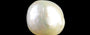 Venezuela Pearl - 9.07 Carat Limited Quality SSP-9051