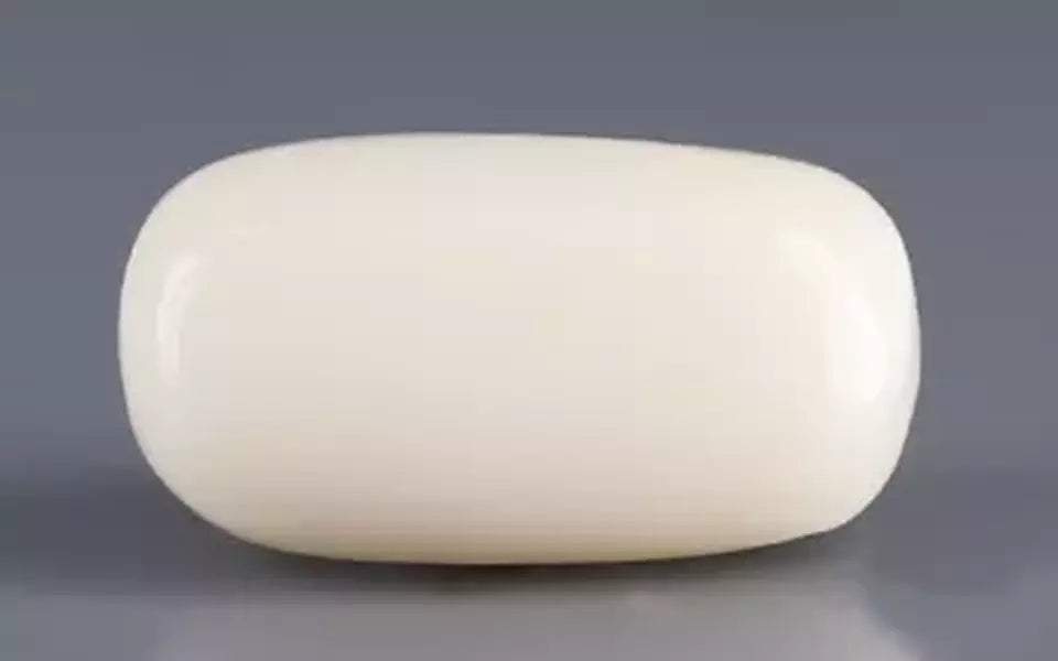 Italian White Coral - 11.11 Carat Limited Quality WC-7634