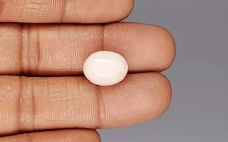 Italian White Coral - 11.53 Carat Limited Quality WC-7628