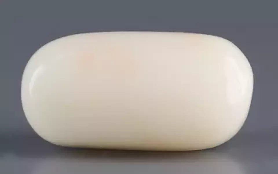 Italian White Coral - 11.96 Carat Limited Quality WC-7636