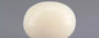 Italian White Coral - 13.04 Carat Prime Quality WC-7606