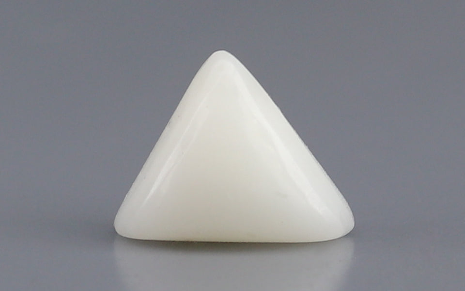 Italian White Coral - 2.18 Carat Prime Quality TWC-22002