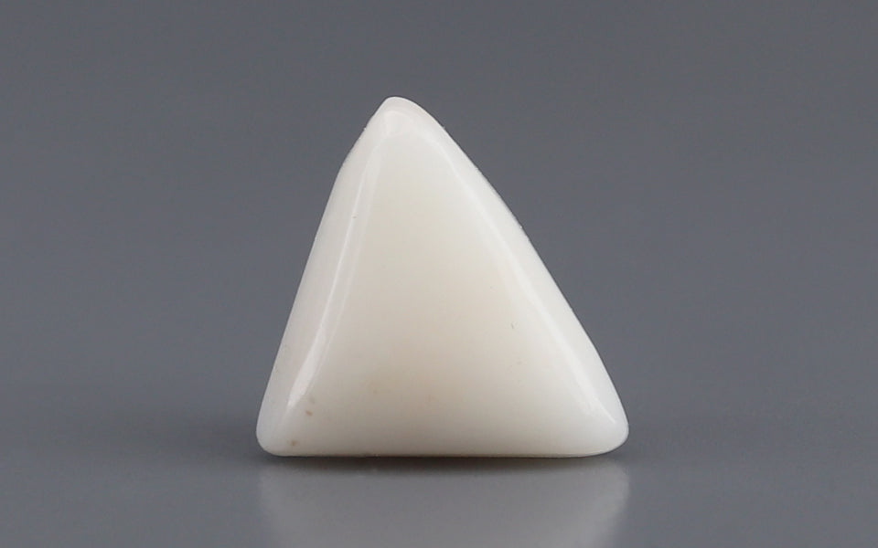 Italian White Coral - 2.99 Carat Prime Quality TWC-22001