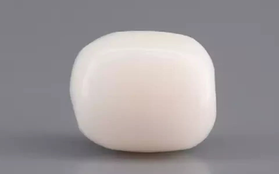 Italian White Coral - 3.13 Carat Prime Quality WC-7591