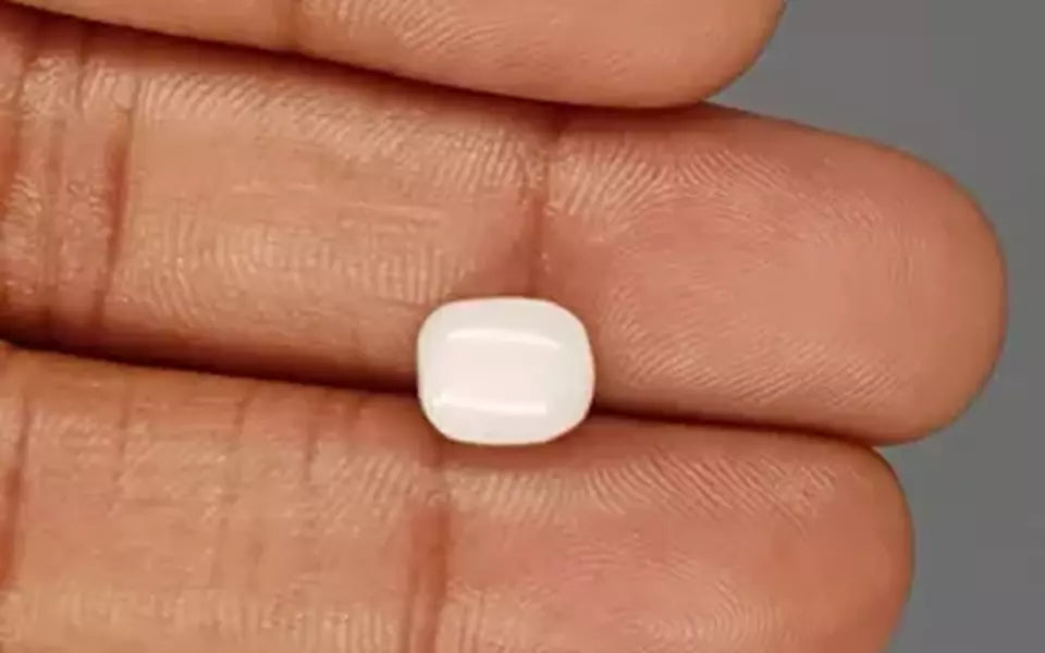 Italian White Coral - 3.13 Carat Prime Quality WC-7591