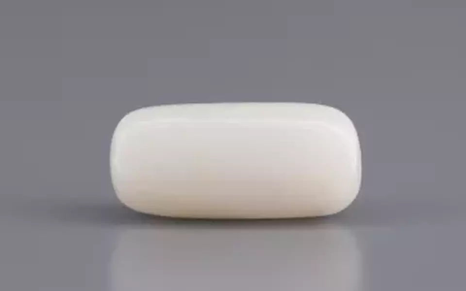 Italian White Coral - 3.69 Carat Prime Quality WC-7599