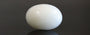 Japanese White Coral - 4.06 Carat Prime Quality WC-7510