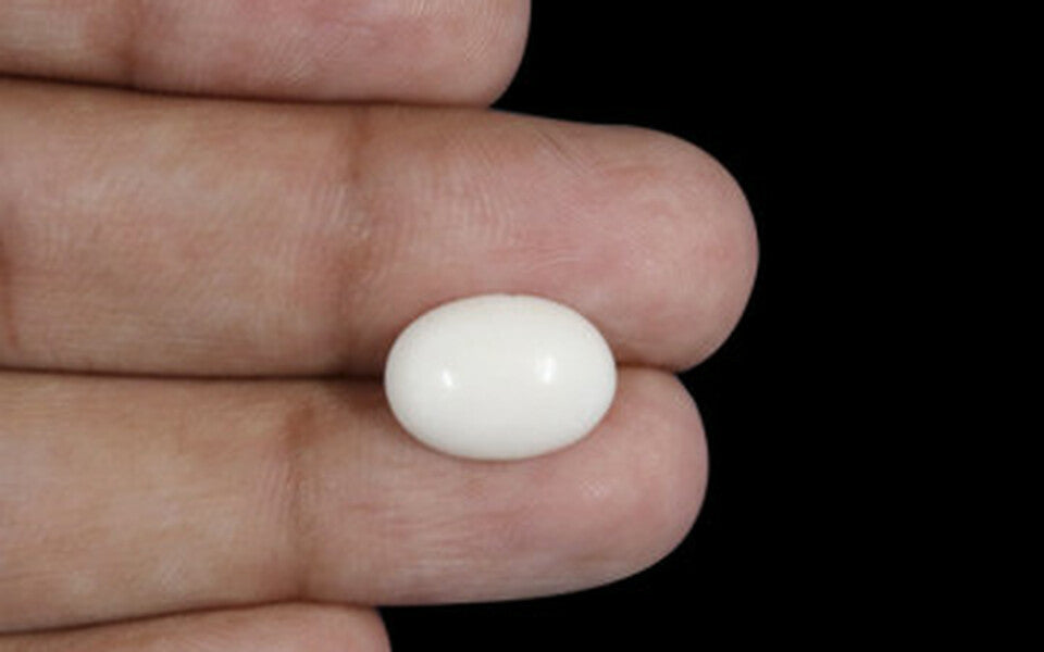 Japanese White Coral - 4.06 Carat Prime Quality WC-7510