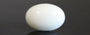 Japanese White Coral - 4.16 Carat Prime Quality WC-7514