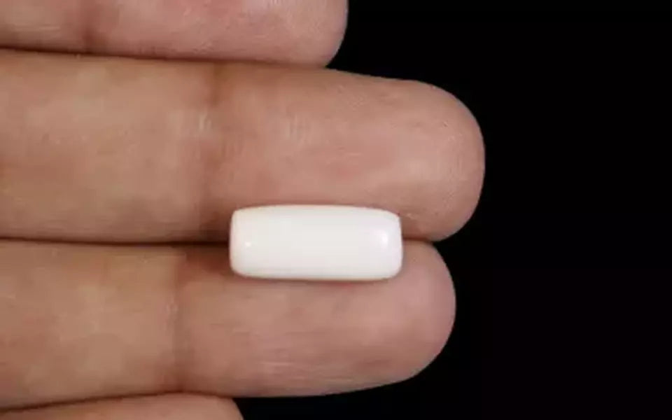 Japanese White Coral - 4.88 Carat Prime Quality WC-7536