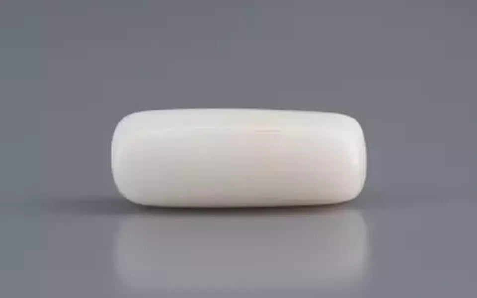 Italian White Coral - 5.12 Carat Prime Quality WC-7597