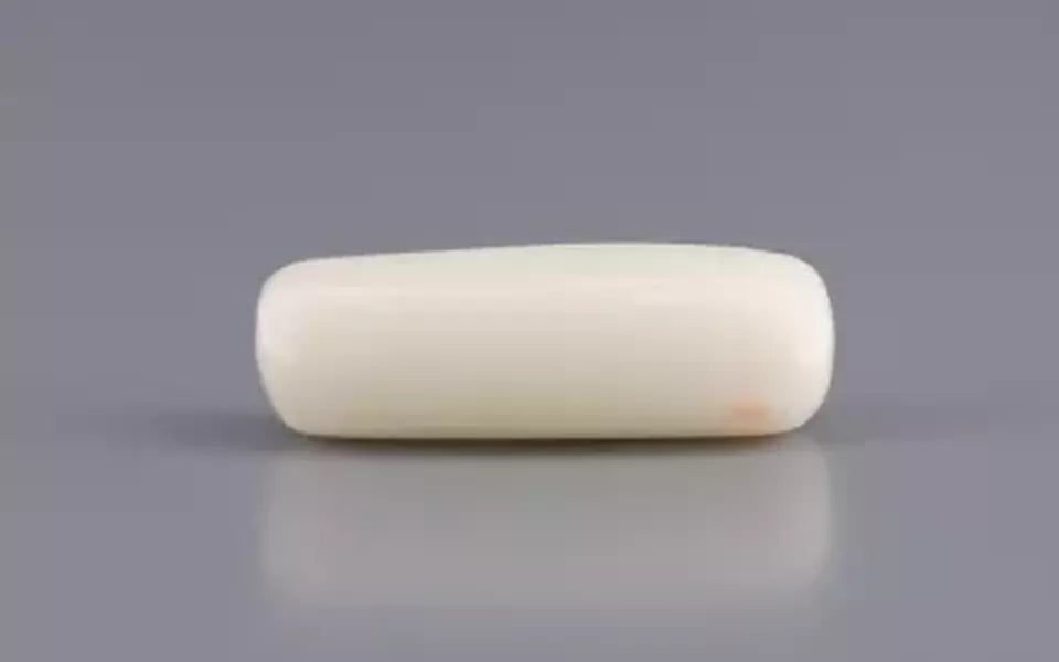 Italian White Coral - 5.57 Carat Prime Quality WC-7601