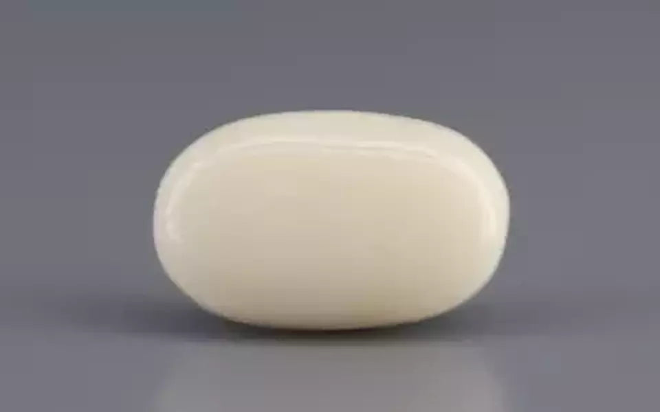 Italian White Coral - 9.65 Carat Prime Quality WC-7615