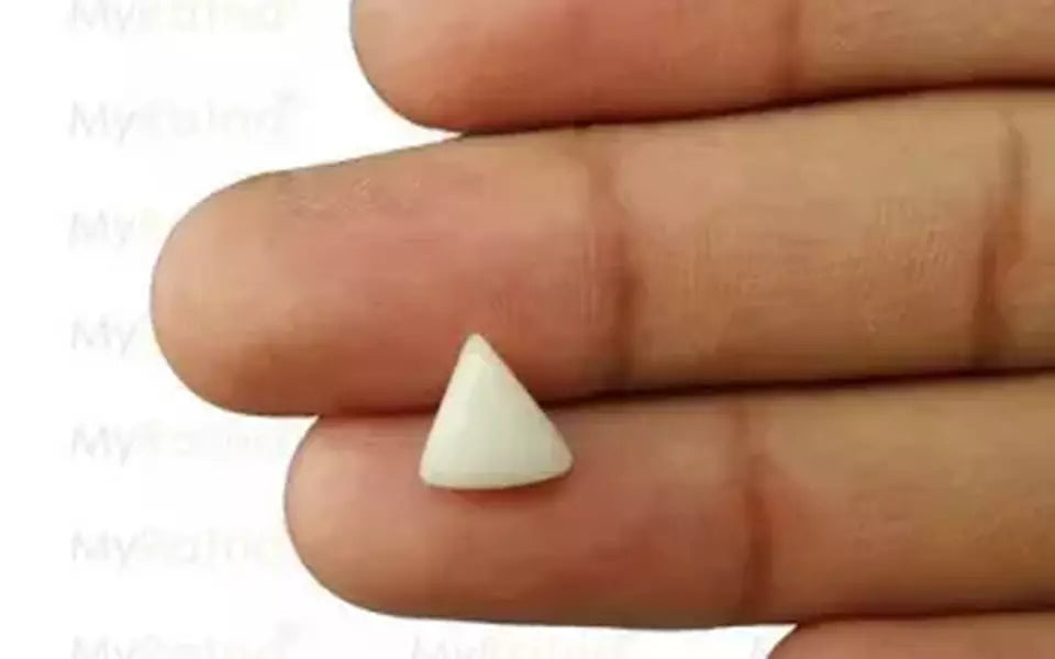 Italian White Coral - 2.18 Carat Prime Quality TWC-22002