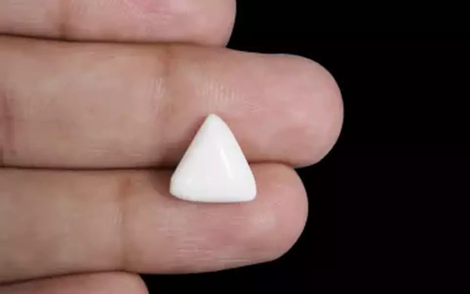 Italian White Coral - 4.6 Carat Prime Quality TWC-22004