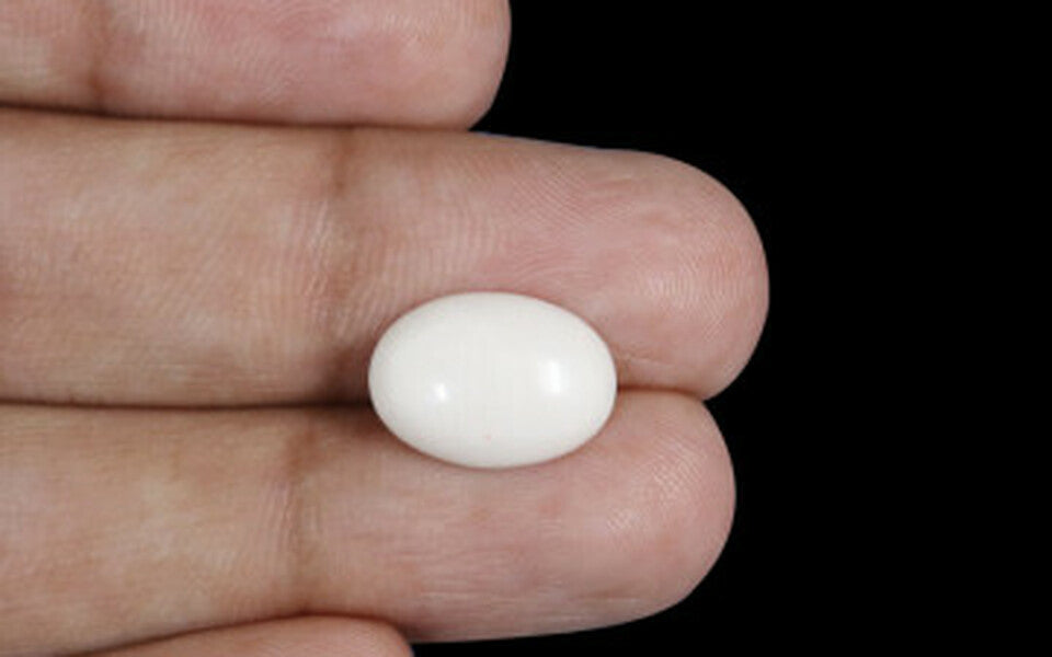 Japanese White Coral - 4.13 Carat Prime Quality WC-7518