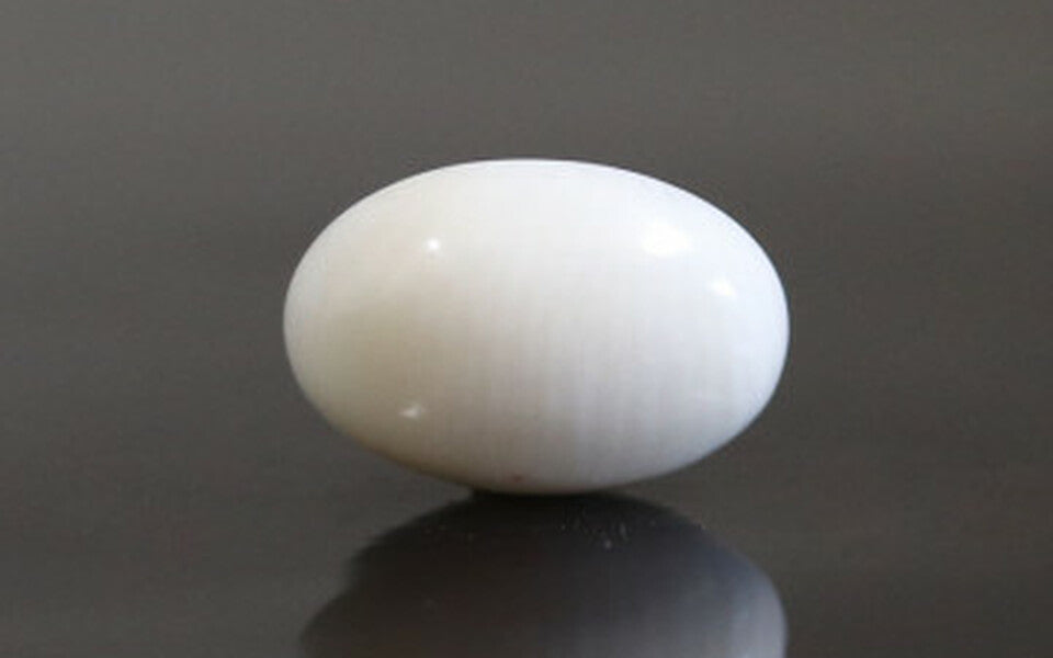 Japanese White Coral - 4.13 Carat Prime Quality WC-7518