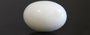 Japanese White Coral - 4.22 Carat Prime Quality WC-7520
