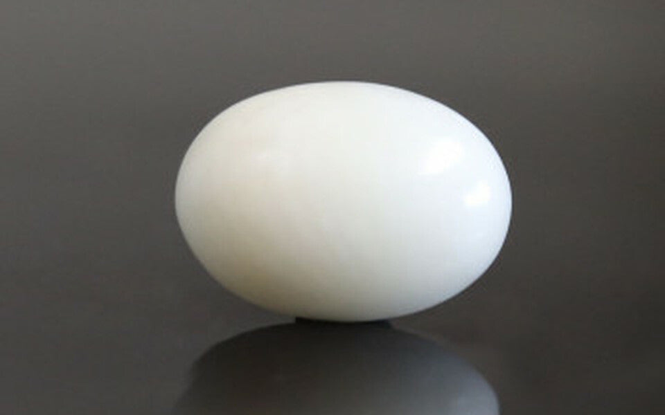 Japanese White Coral - 4.3 Carat Prime Quality WC-7522