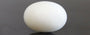 Japanese White Coral - 4.16 Carat Prime Quality WC-7523