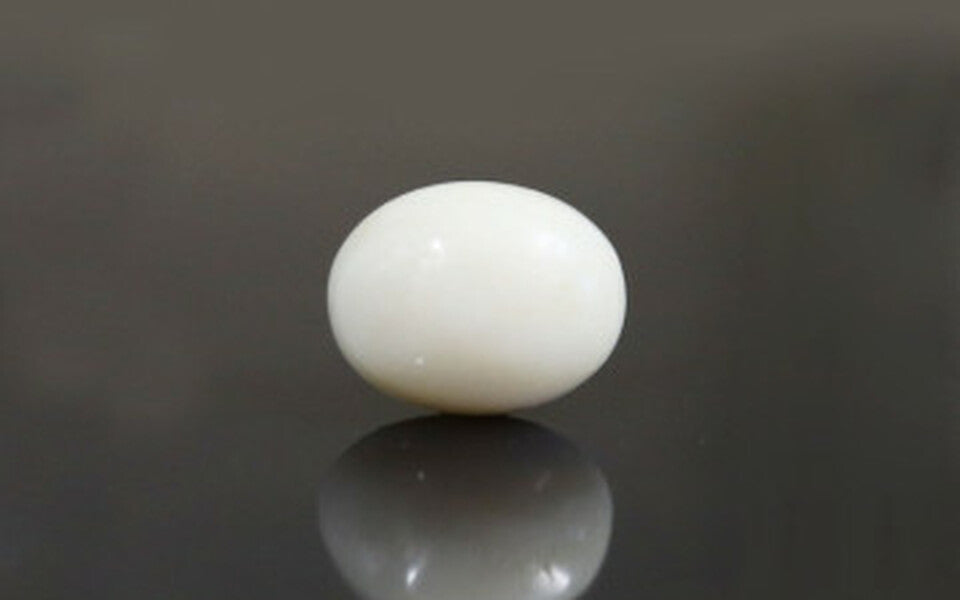 Italian White Coral - 9.48 Carat Prime Quality WC-7561