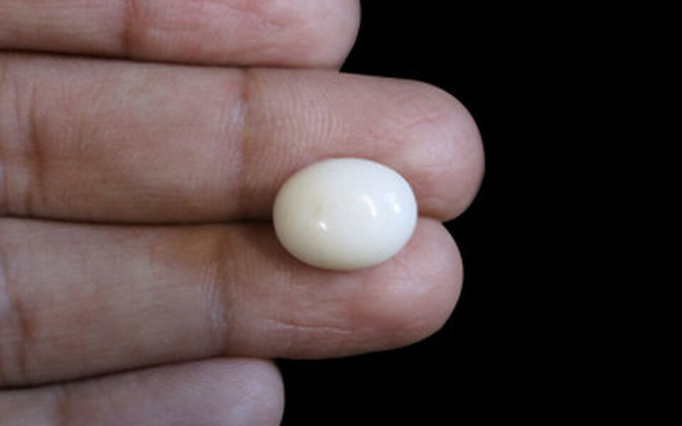 Italian White Coral - 9.48 Carat Prime Quality WC-7561