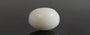 White Coral - WC 7572 (Origin-Italian) Prime - Quality