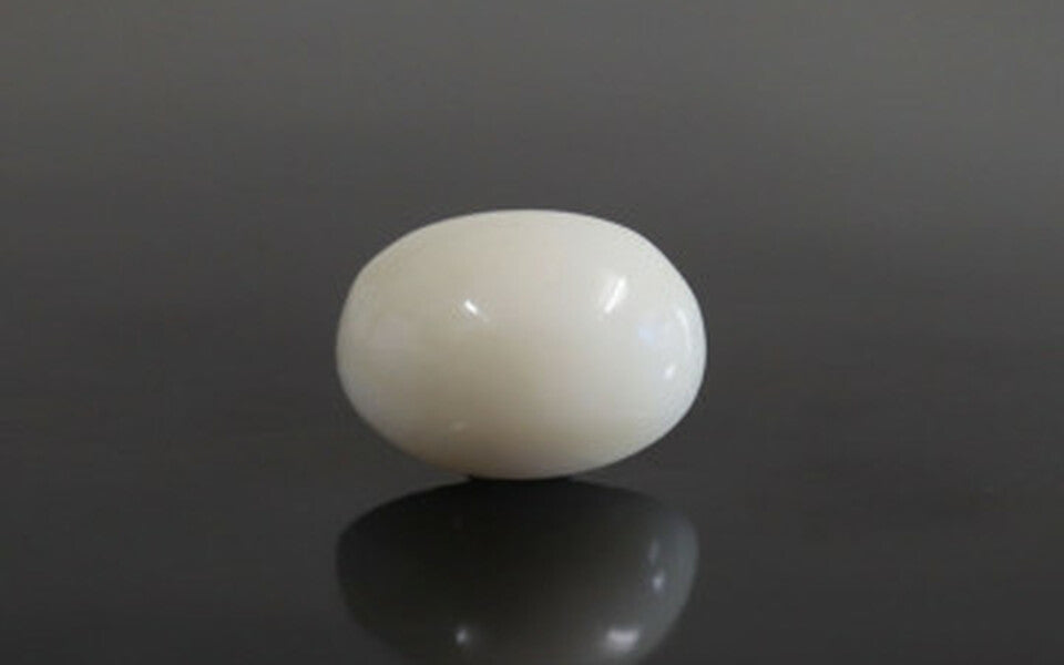 White Coral - WC 7572 (Origin-Italian) Prime - Quality