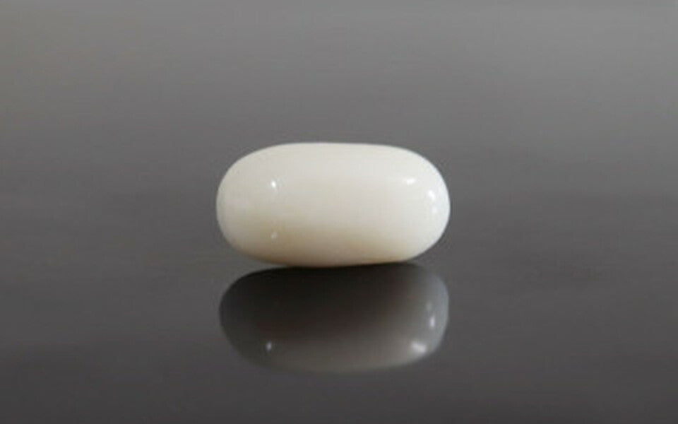 White Coral - WC 7574 (Origin-Italian) Prime - Quality